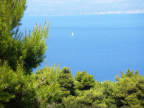 Studio Xanthippe